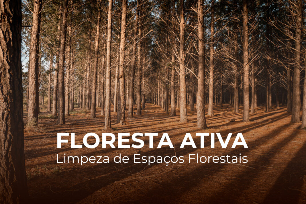 Floresta-Ativa