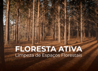 ICNF e Fundo Ambiental lançam “Floresta Ativa”, programa simplificado para gestão da floresta e prevenção de incêndios