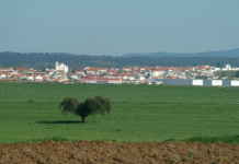 A Câmara Municipal de Moura avança com reabilitação de pavimento e substituição de infraestruturas em Safara