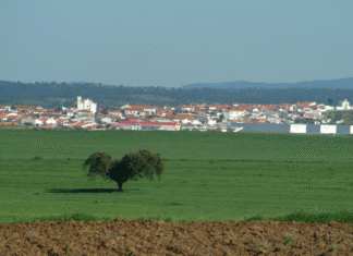 A Câmara Municipal de Moura avança com reabilitação de pavimento e substituição de infraestruturas em Safara