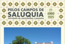 “Santos Populares” é a próxima atividade