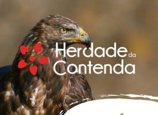 “Pico da Águia” é o próximo passeio pedestre na Contenda