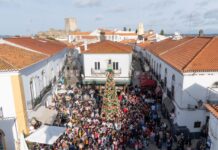 Dia Internacional da Pessoa com Deficiência