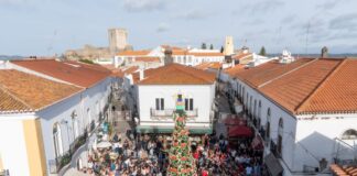 Dia Internacional da Pessoa com Deficiência