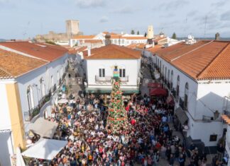 Dia Internacional da Pessoa com Deficiência