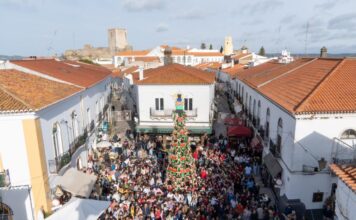 Dia Internacional da Pessoa com Deficiência