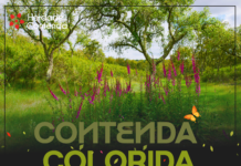 Contenda Colorida é o primeiro percurso pedestre do plano anual para 2026