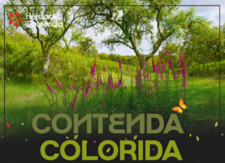 Contenda Colorida é o primeiro percurso pedestre do plano anual para 2026