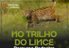 Percurso Pedestre “No Trilho do Lince” realiza-se a 14 de março