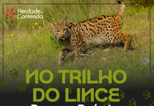 Percurso Pedestre “No Trilho do Lince” realiza-se a 14 de março