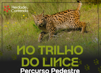 Percurso Pedestre “No Trilho do Lince” realiza-se a 14 de março