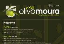 Azeite, música e muita animação na XVII OlivoMoura