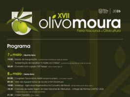 Azeite, música e muita animação na XVII OlivoMoura