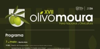 Azeite, música e muita animação na XVII OlivoMoura