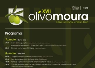 Azeite, música e muita animação na XVII OlivoMoura