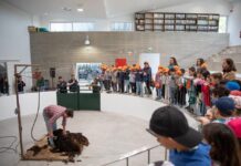Exposição Pecuária em destaque no Parque de Leilão de Gado