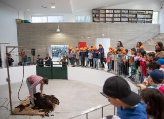 Exposição Pecuária em destaque no Parque de Leilão de Gado
