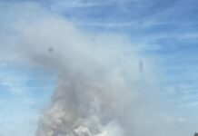 Incêndio Rural no Monte da Negrita em fase de rescaldo