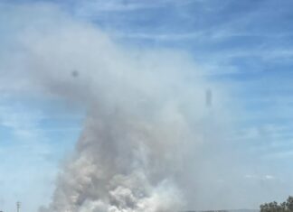 Incêndio Rural no Monte da Negrita em fase de rescaldo