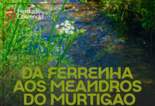 Percurso Pedestre “Da Ferrenha aos Meandros do Murtigão” realiza-se a 13 de junho