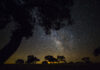 Observação noturna na Herdade da Contenda com Dark Sky Alqueva