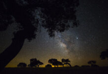 Observação noturna na Herdade da Contenda com Dark Sky Alqueva