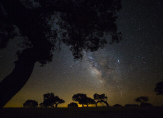 Observação noturna na Herdade da Contenda com Dark Sky Alqueva