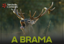 Herdade da Contenda promove percurso pedestre “A Brama”