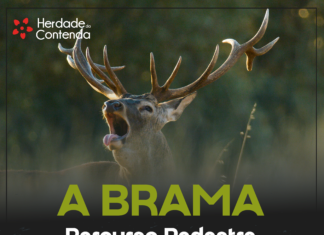 Herdade da Contenda promove percurso pedestre “A Brama”