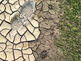 Município de Moura assinala o Dia Internacional contra as Alterações Climáticas