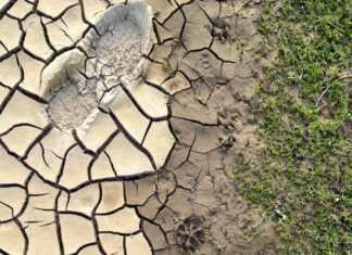 Município de Moura assinala o Dia Internacional contra as Alterações Climáticas