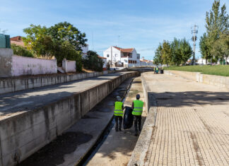 Município de Moura realiza trabalhos de limpeza na Ribeira da Perna Seca